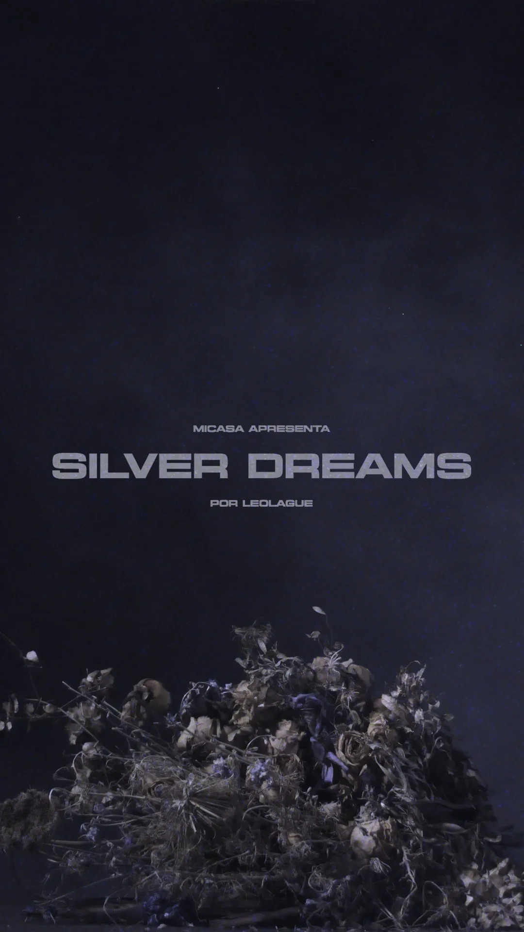 SILVER DREAMS