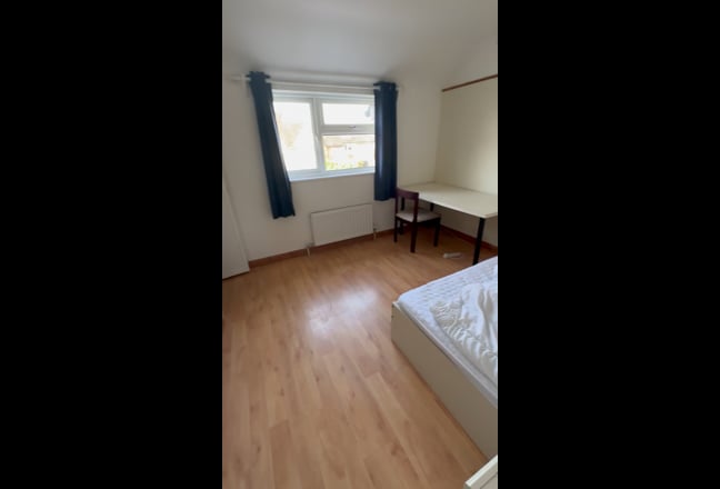 Clean & friendly house awaits a male tenant!  Main Photo