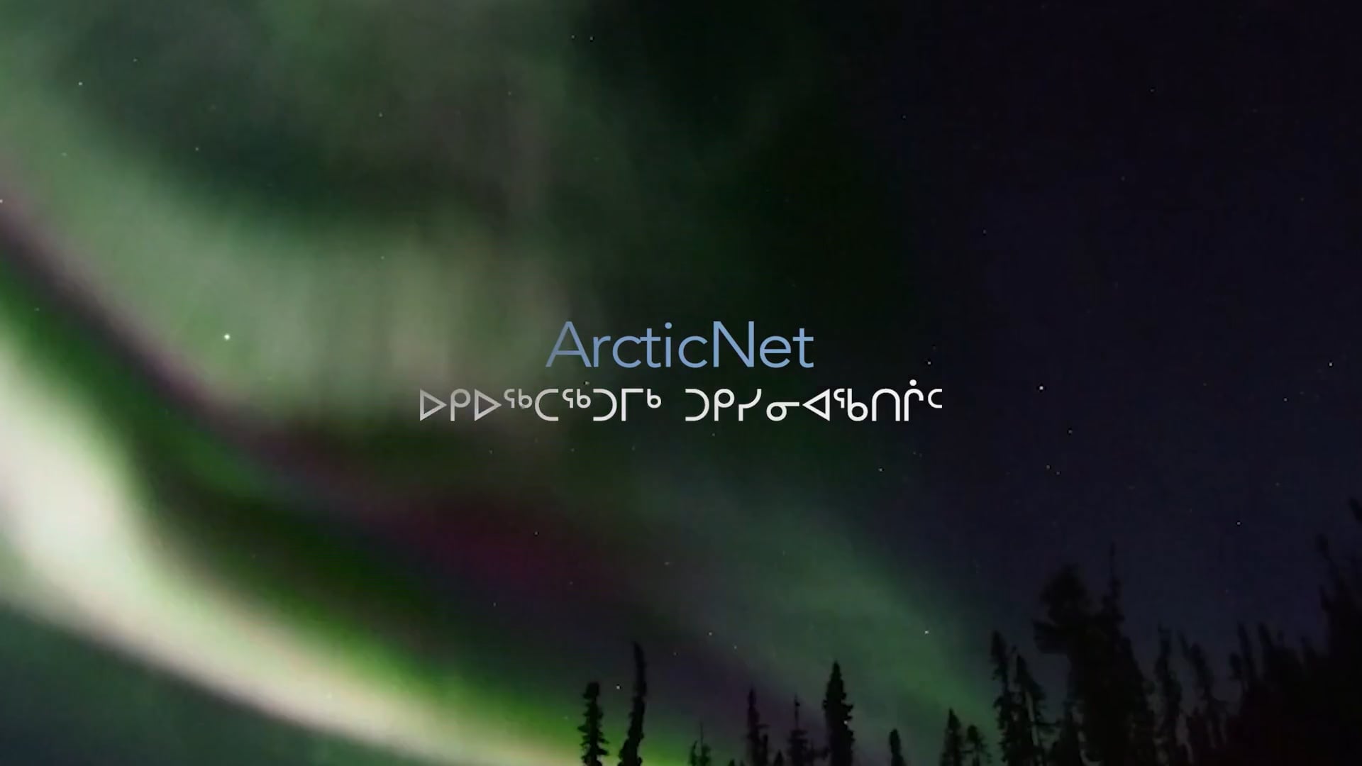 Making An Impact - ArcticNet's 20 Year Legacy