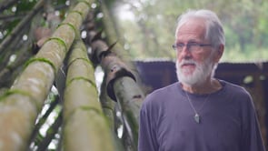 Brian Erickson: Shaping Sustainability Through Bamboo