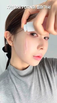 2. 인플루언서 모델..