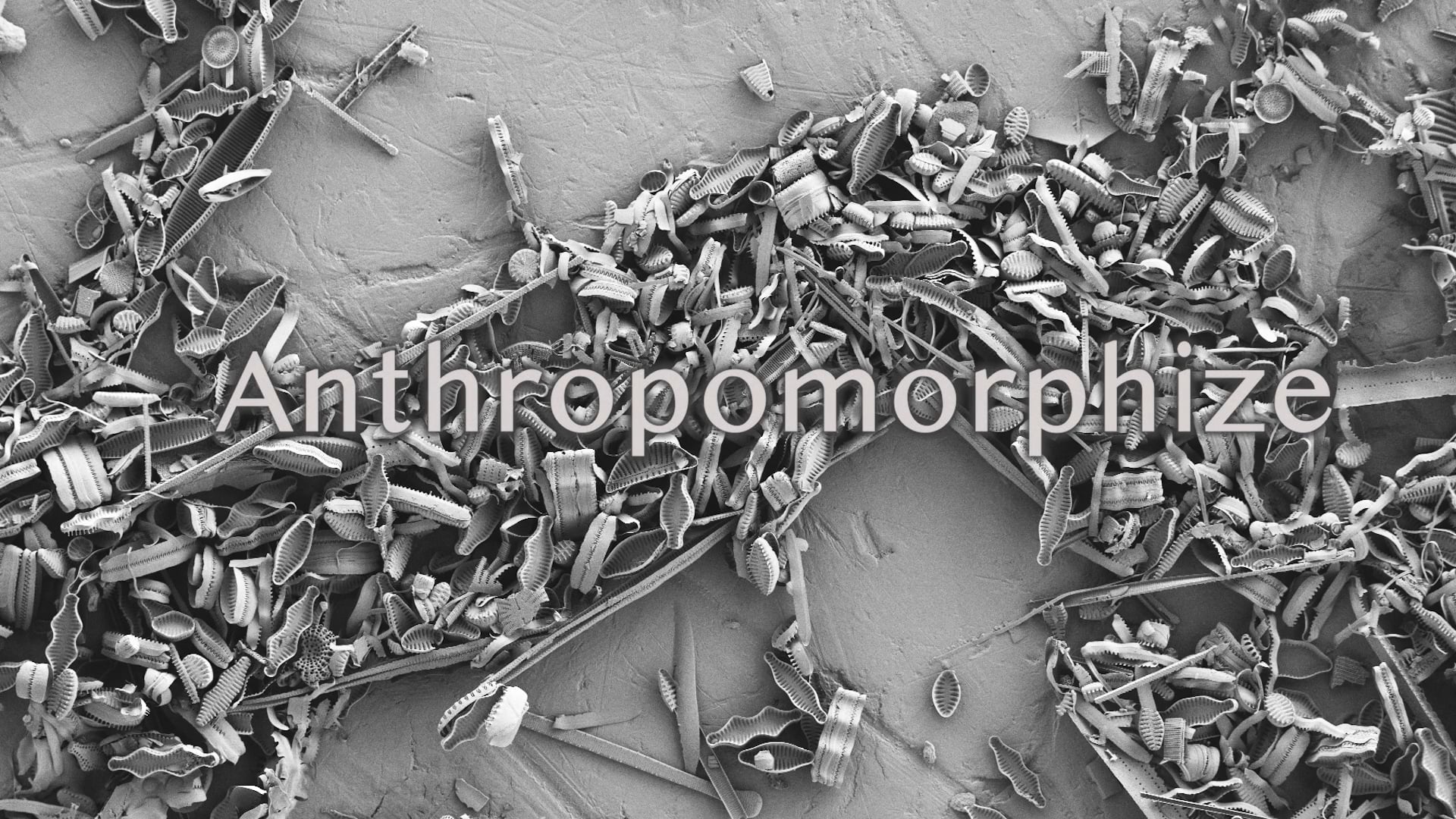 Anthropomorphize