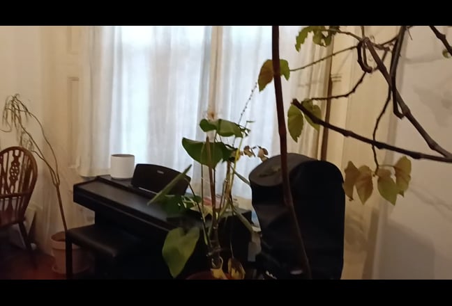 Very Large Room with Separate Entrance - Clapton Main Photo