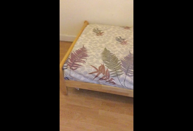 Video 1: Outside View