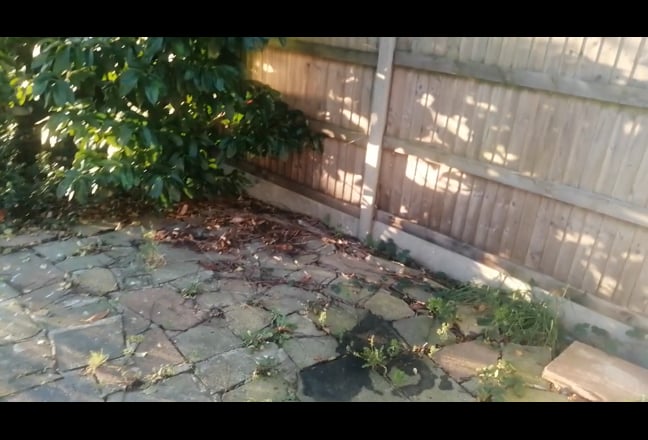 Video 1: