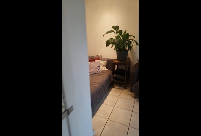 Video 1: 