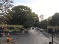 Video Image