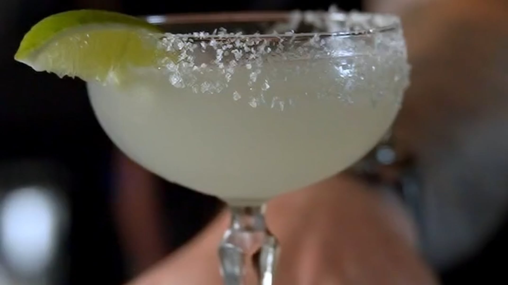 Pink Donkey Highlights Reel