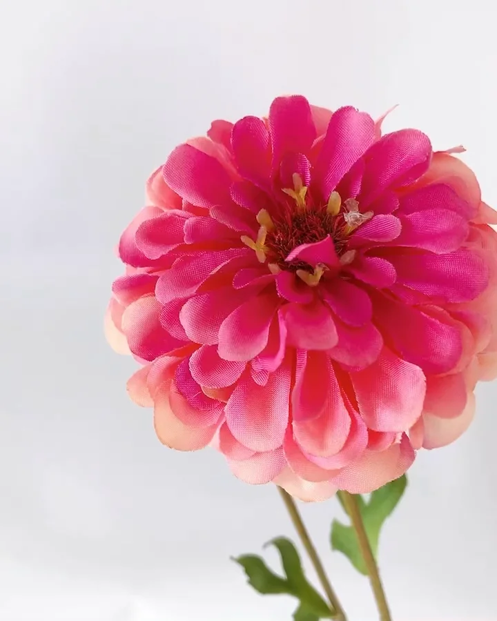 マトファー マジフラワー Colorful、ターボ時1822MHzで動作する「GeForce RTX 3060」を搭載した