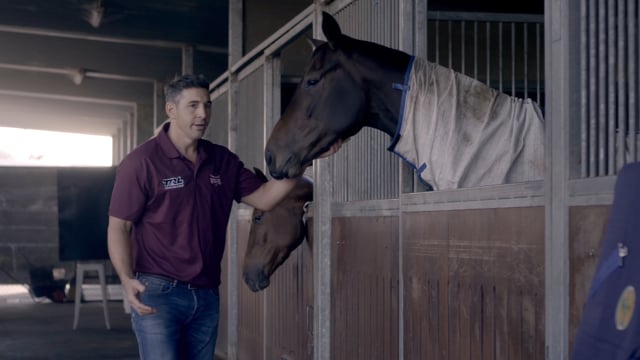 TRL | QLD Represent Your State | ONLINE 16x9