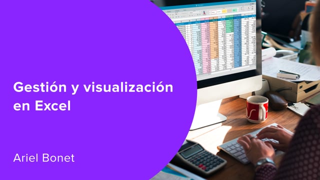 Gestión y visualización en Excel