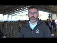 MSD en Orvalat con Lely