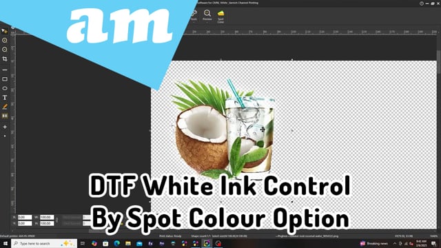 DTF White Ink Control By Spot Colour Option in InkRIP Software, DTF White Printing