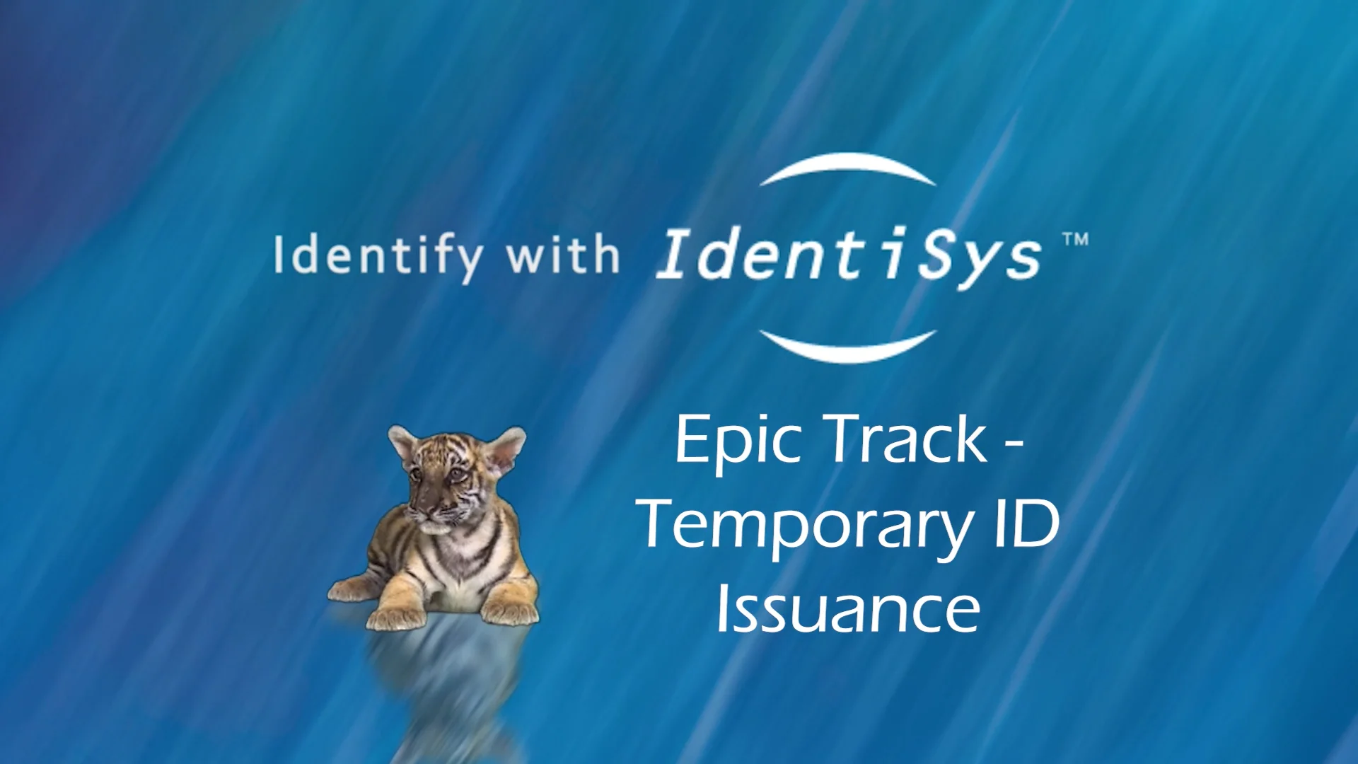 IdentiSys