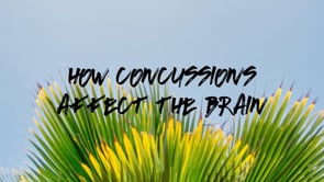 How Concussions Affect The Brain