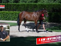 91  I Am Invincible x California Rogusta C Promo David Mourad