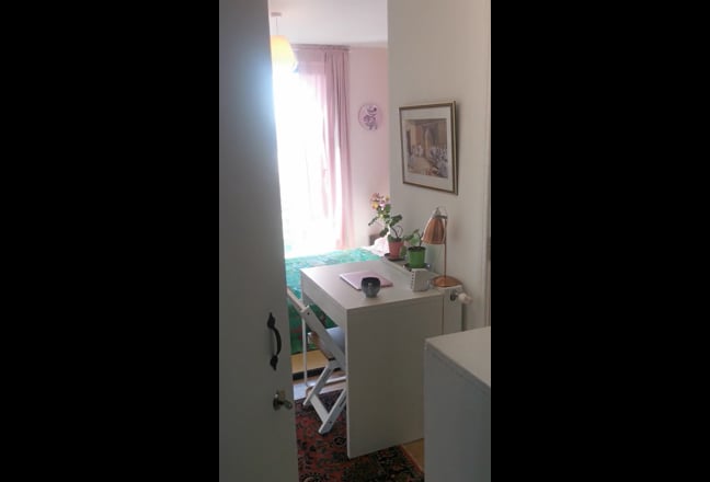 Summer let for female lodger in safe family home  Main Photo