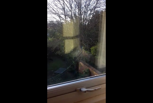 Large Dbl Room Female Household Southport  Main Photo