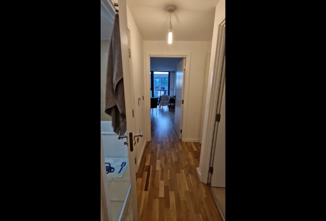 Lovely Room in Modern 2-Bed Flat (Zone 2) Main Photo