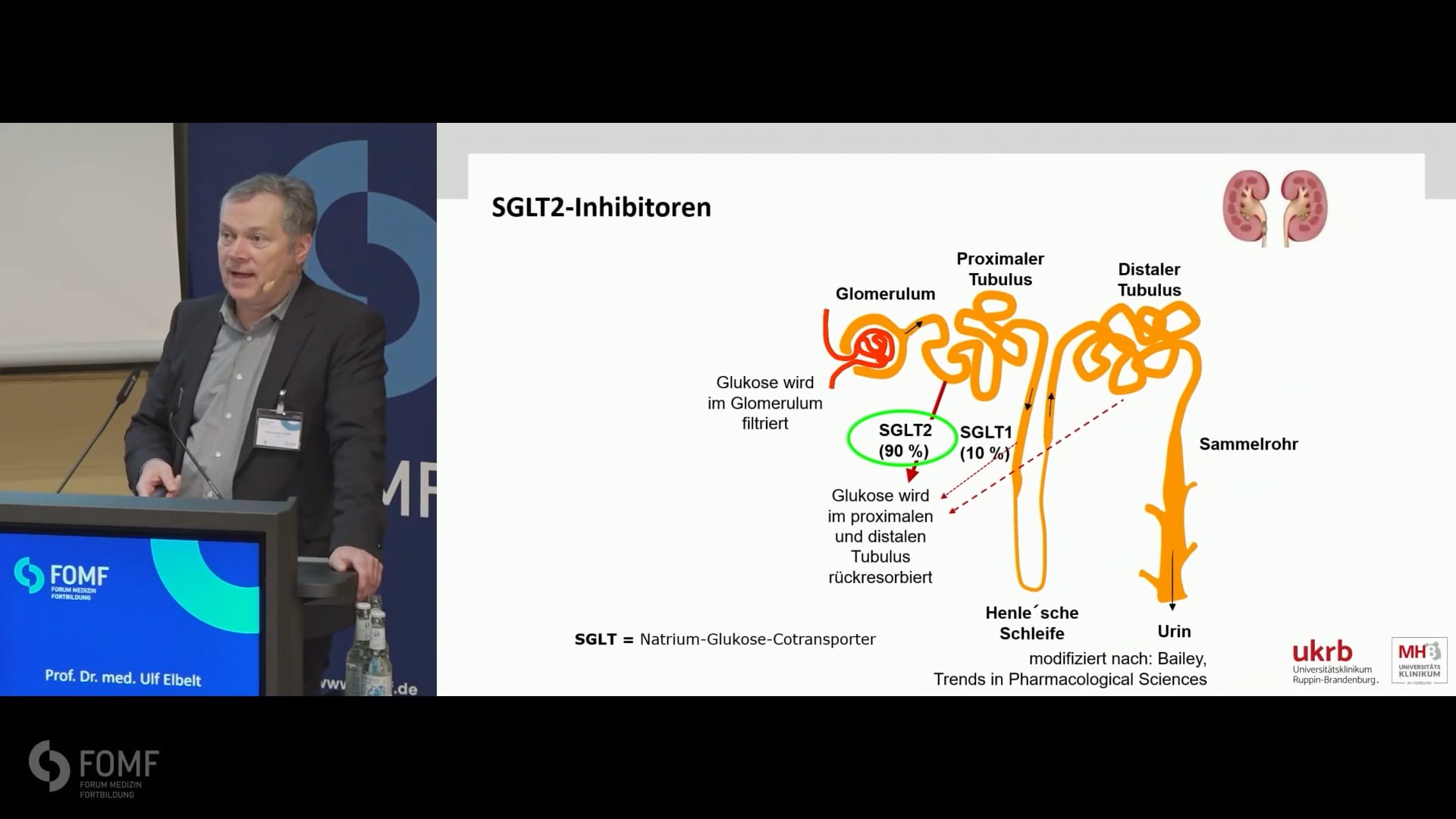 Typ 2 Diabetes – Management und Reduzierung des kardiovaskulären Risikos