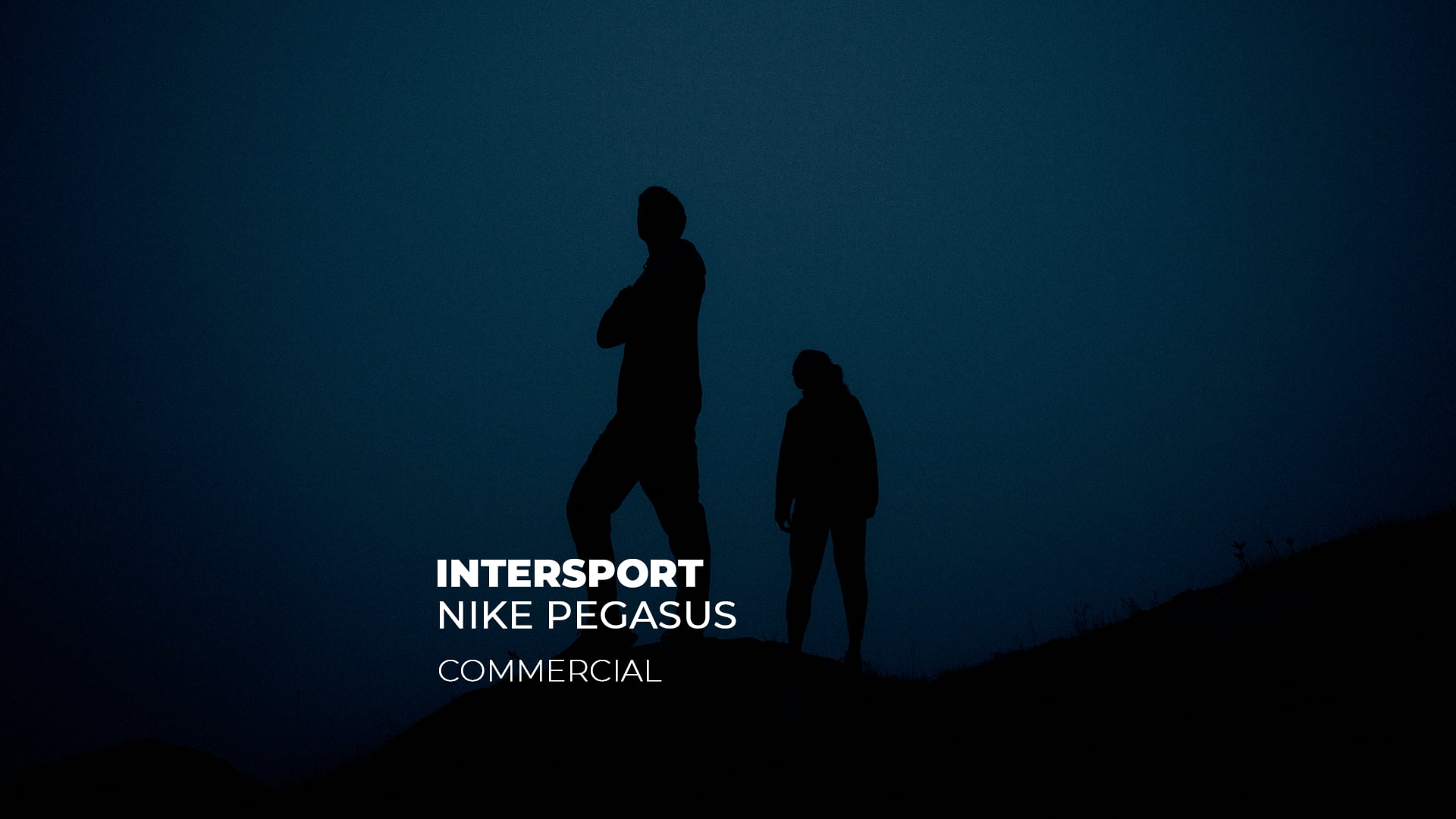 INTERSPORT: NIKE PEGASUS