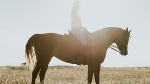 Money Wellbeing: Workplace Benefits (Death in Service)