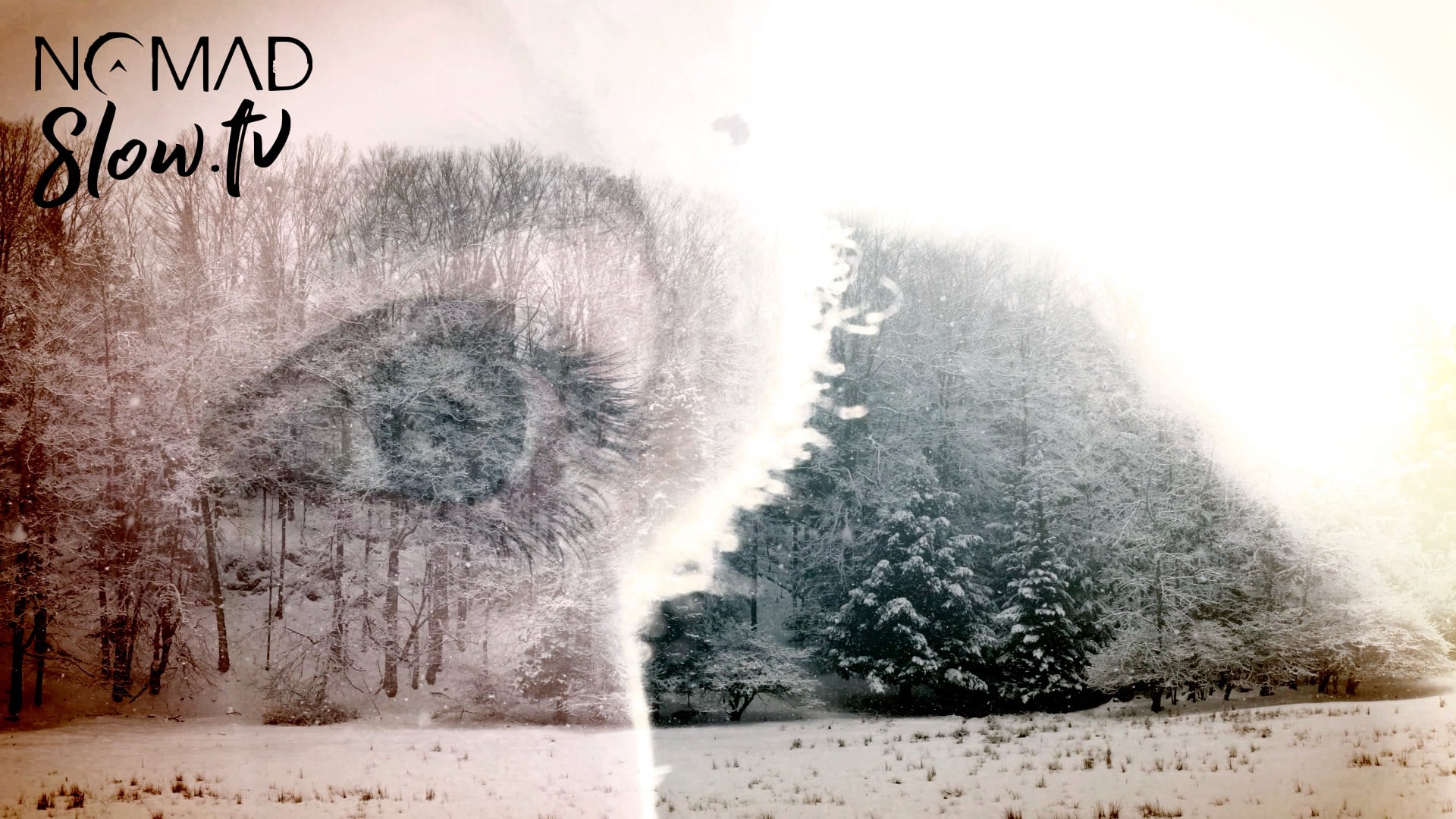 Winter Rush | 4K Winter Ambiance on NOMADslow.tv