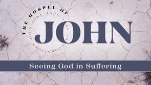 Seeing God in Suffering | Peter Visscher