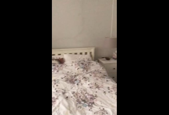 🍒 Lovely Double Room | Clapham South Share Main Photo