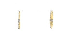 10kt Two-Tone Gold Oval Hoop Earrings