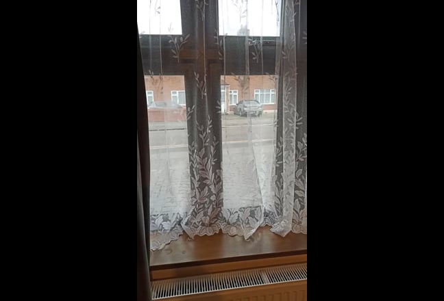 Video 1: