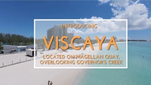Viscaya Drone Video