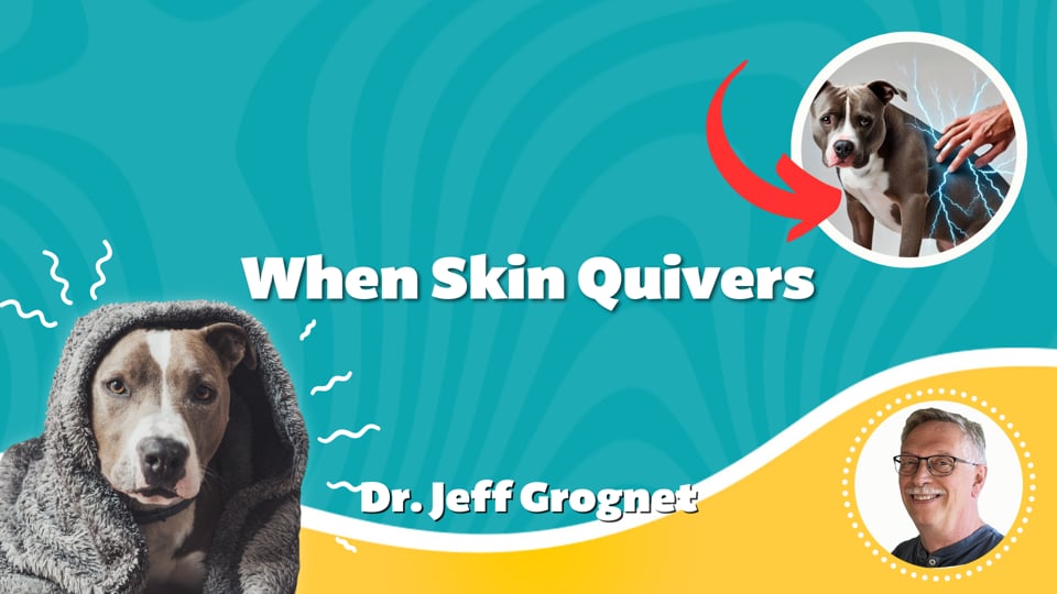 When Skin Quivers
