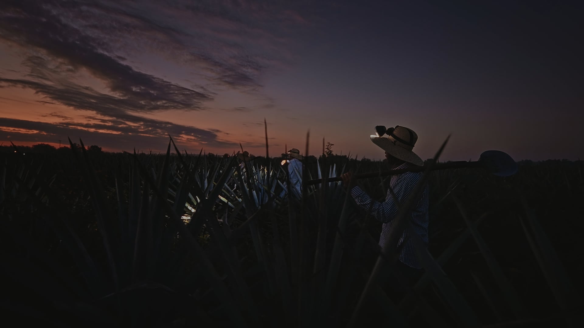 Tequila Cazadores - Director's Cut