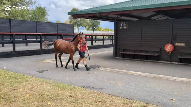 Lot 10