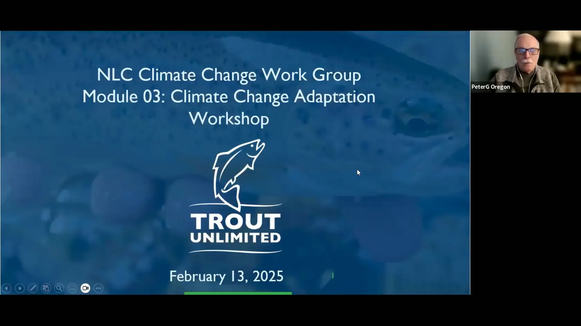 Climate Change Workgroup - Adaptation Module