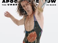Related Embedded Video Item Thumbnail