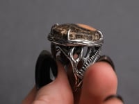 Fern forest ring