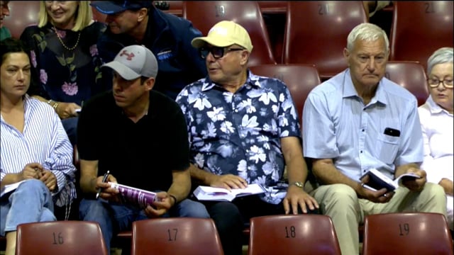 2025 National Standardbred Yearling Sale, Lots 14 - 22