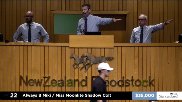 2025 National Standardbred Yearling Sale, Lots 22 - 29