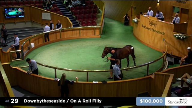 2025 National Standardbred Yearling Sale, Lots 29 - 35