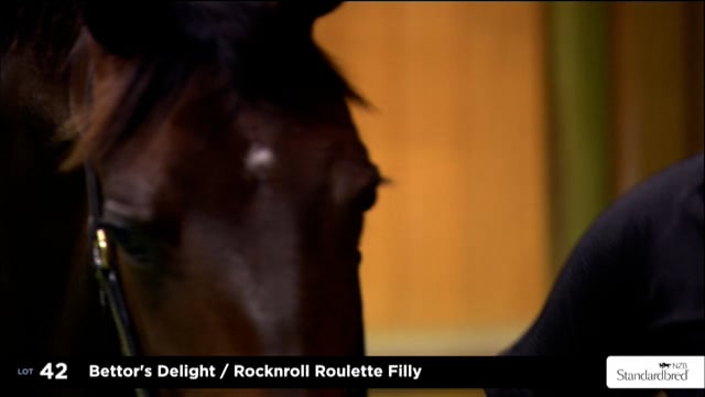 2025 National Standardbred Yearling Sale, Lots 42 - 50