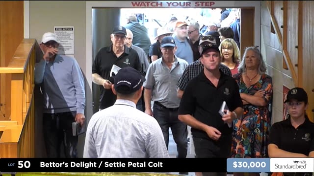 2025 National Standardbred Yearling Sale, Lots 50 - 56