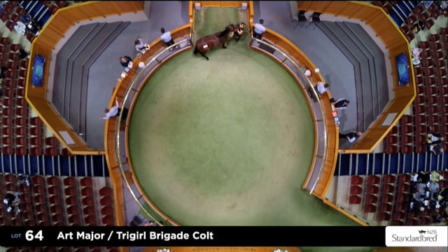 2025 National Standardbred Yearling Sale, Lots 64 - 70