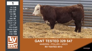 Lot #1 - GANT TESTED 329 547