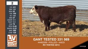 Lot #2 - GANT TESTED 331 569