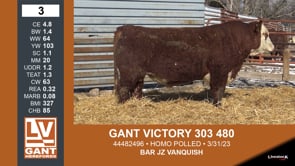 Lot #3 - GANT VICTORY 303 480