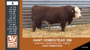 Lot #4 - GANT HOMESTEAD 396