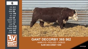 Lot #6 - GANT DECORBY 365 562