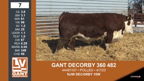 Lot #7 - GANT DECORBY 360 482